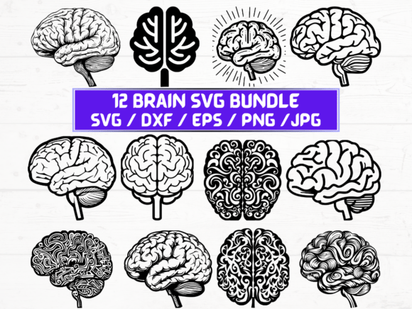 Brain SVG File: A Powerful Tool for Creative Professionals