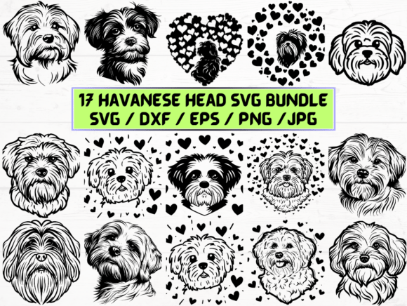 Integrating Havanese Head SVG, DXF, EPS, JPG, and PNG into Creative Workflows