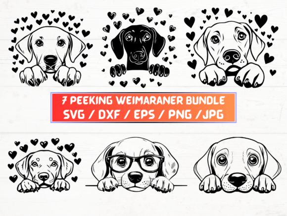 Peeking Weimaraner SVG: A Versatile Digital Asset for Modern Creators