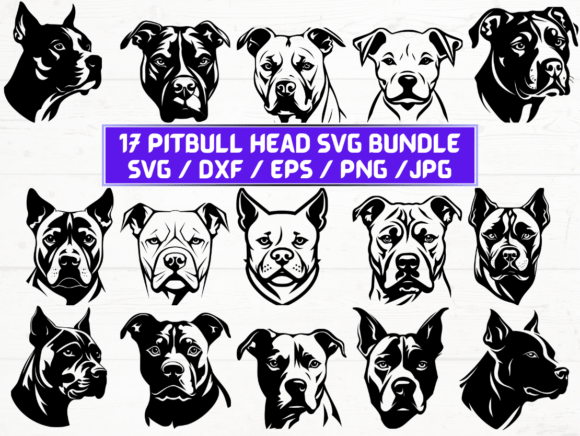 Pitbull Head Vector Files