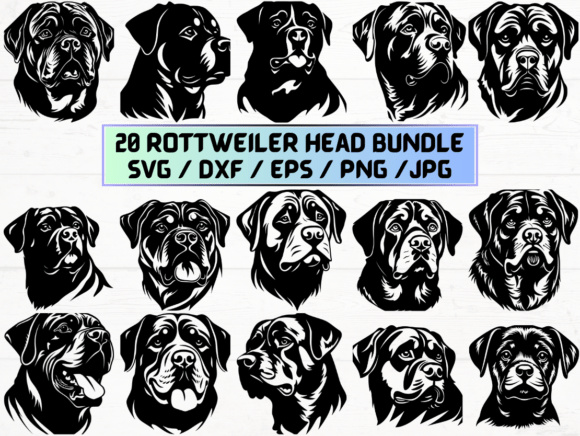 Rottweiler Head Laser Engraving Cut File: A Versatile Digital Asset for Creative Projects