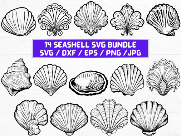 Seashell Laser Cut: A Comprehensive Overview for Creative Professionals