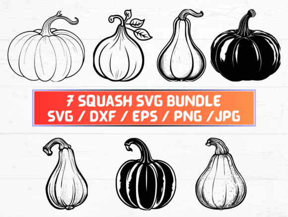 Squash Clipart: A Versatile Tool for Modern Design and Creativity