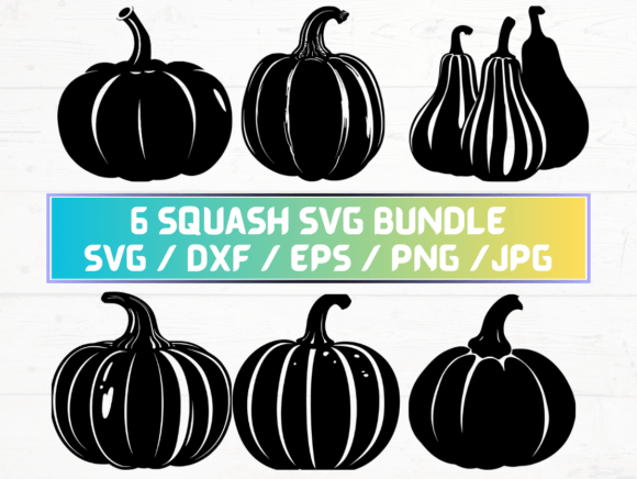 Squash Silhouette Design