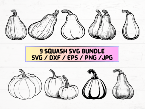 What Are Squash Laser Engraving Cut Files and How Can They Help You?